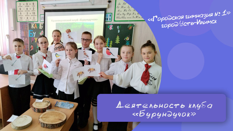 Юные краеведы поделились знаниями о деревьях и профессиях, связанных с лесом.